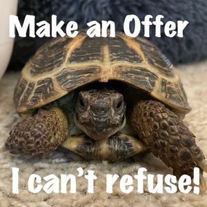 Make an Offer!